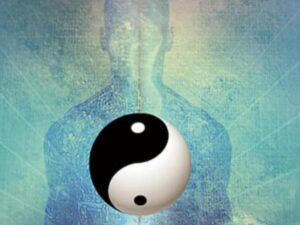 WhatsApp Image 2025-12-03 at 11.49.21 AM.jpeg